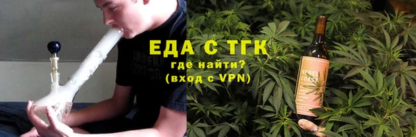 индика Горняк