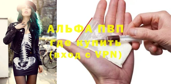 индика Горняк