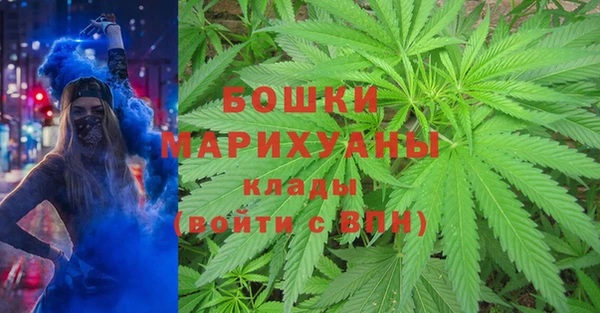 альфа пвп Горно-Алтайск