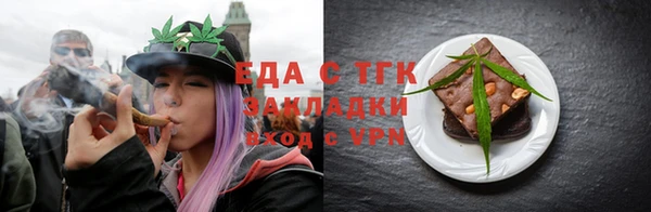 индика Горняк