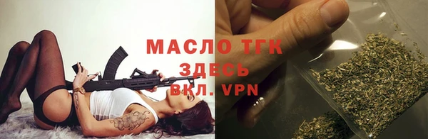 индика Горняк