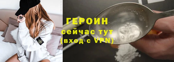 индика Горняк