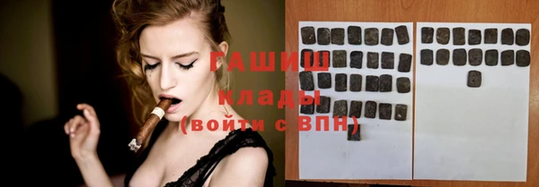 индика Горняк
