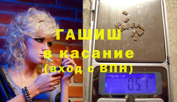индика Горняк