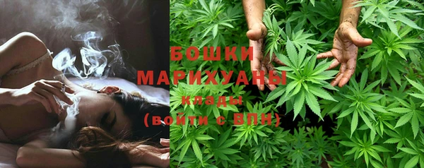 индика Горняк