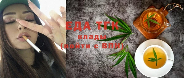 индика Горняк