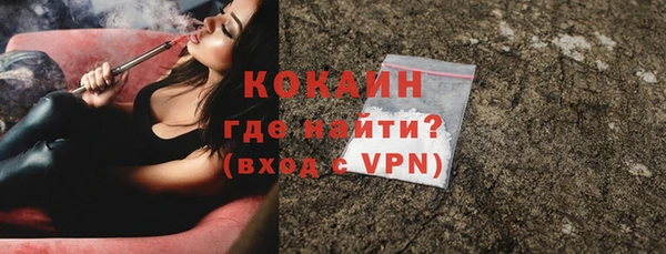 индика Горняк