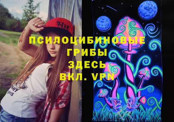 альфа пвп Горно-Алтайск
