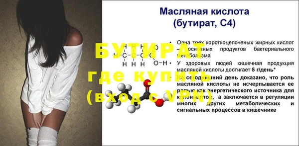 индика Горняк